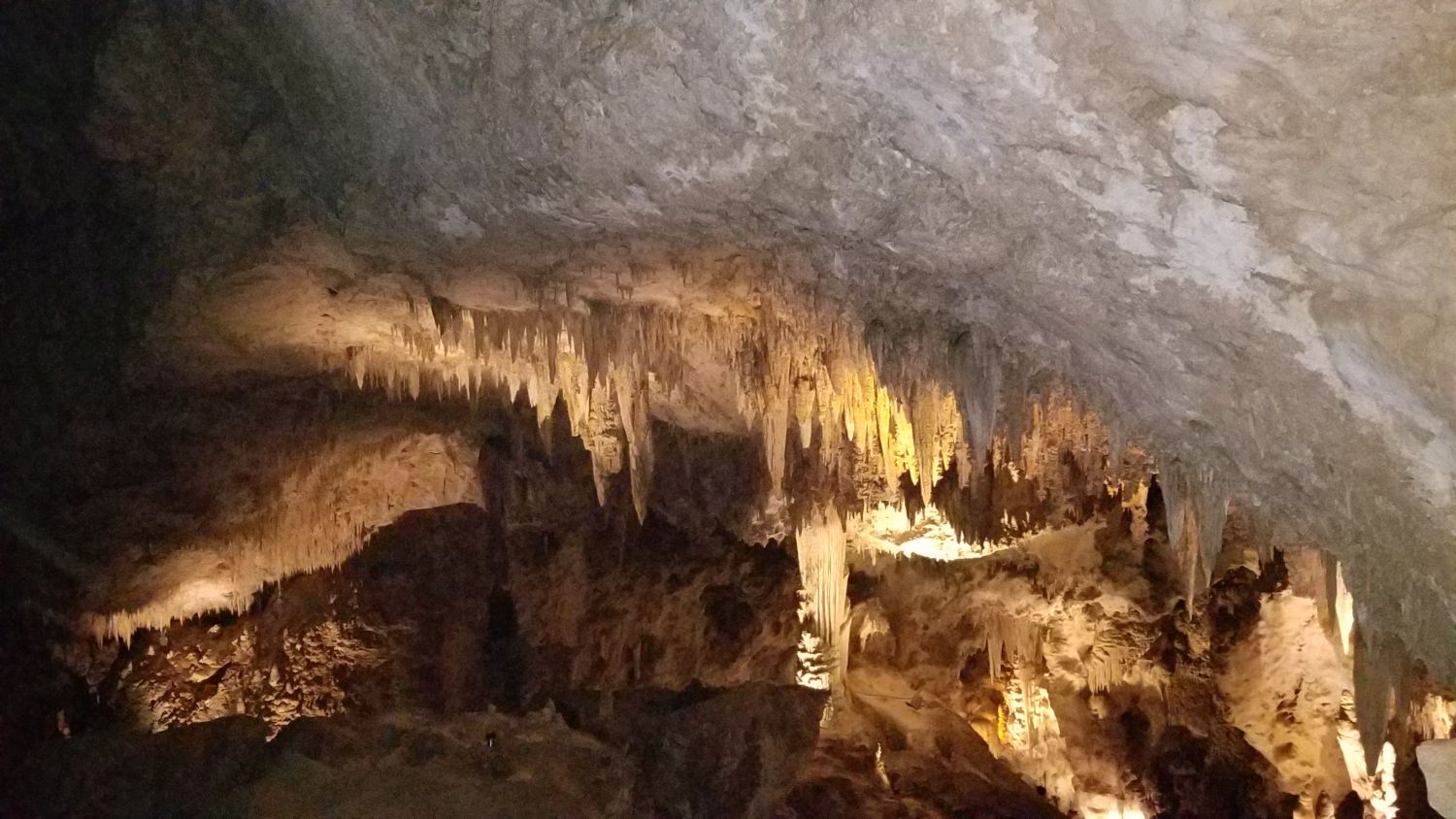 Carlsbad Caverns 